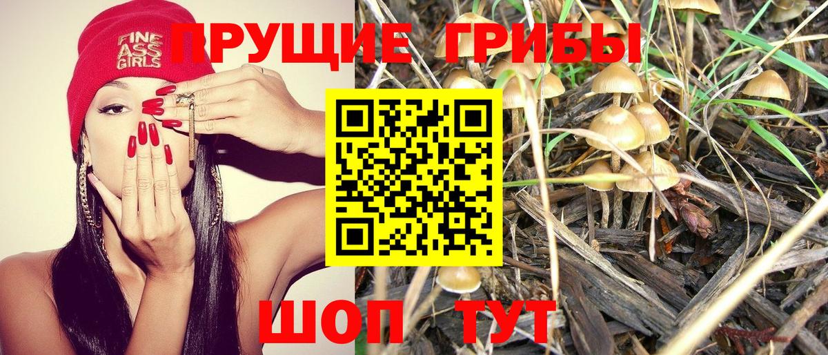 Галлюциногенные грибы Magic Shrooms  Вход с VPN  где купить наркоту  Москва 